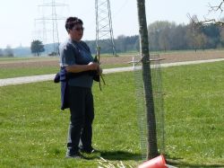 Baumpflegeaktion  2010 26